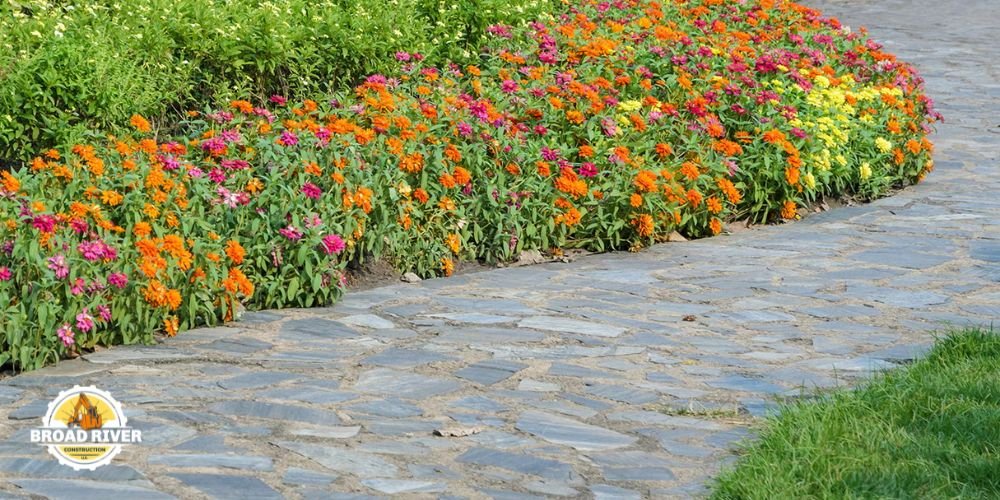 Best Plants for Driveways and Patios