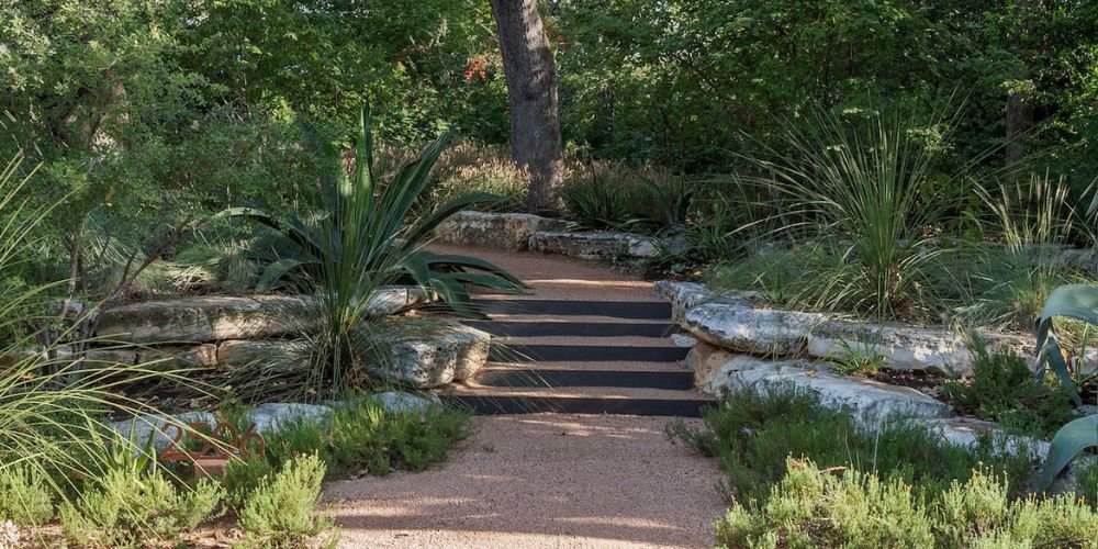 Best Plants for Rain Gardens and Downspout Areas