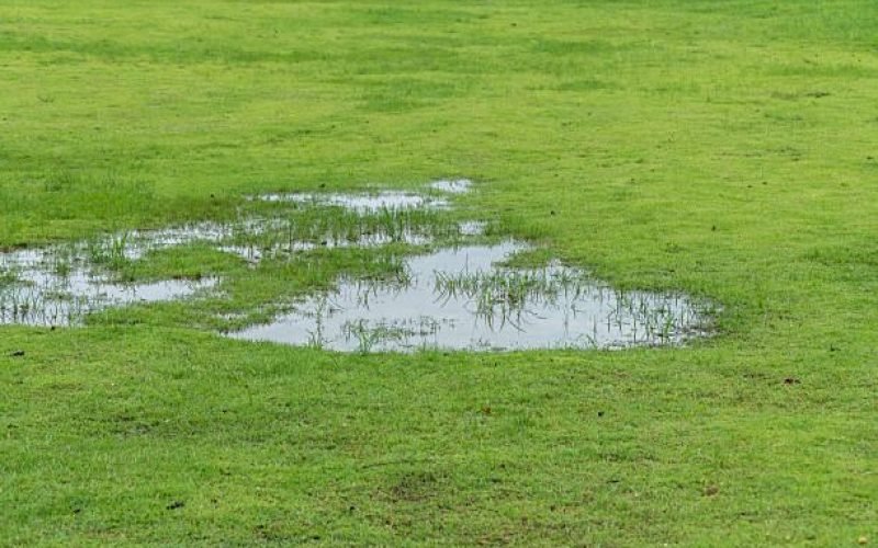 Common Signs of Lawn Drainage Problems
